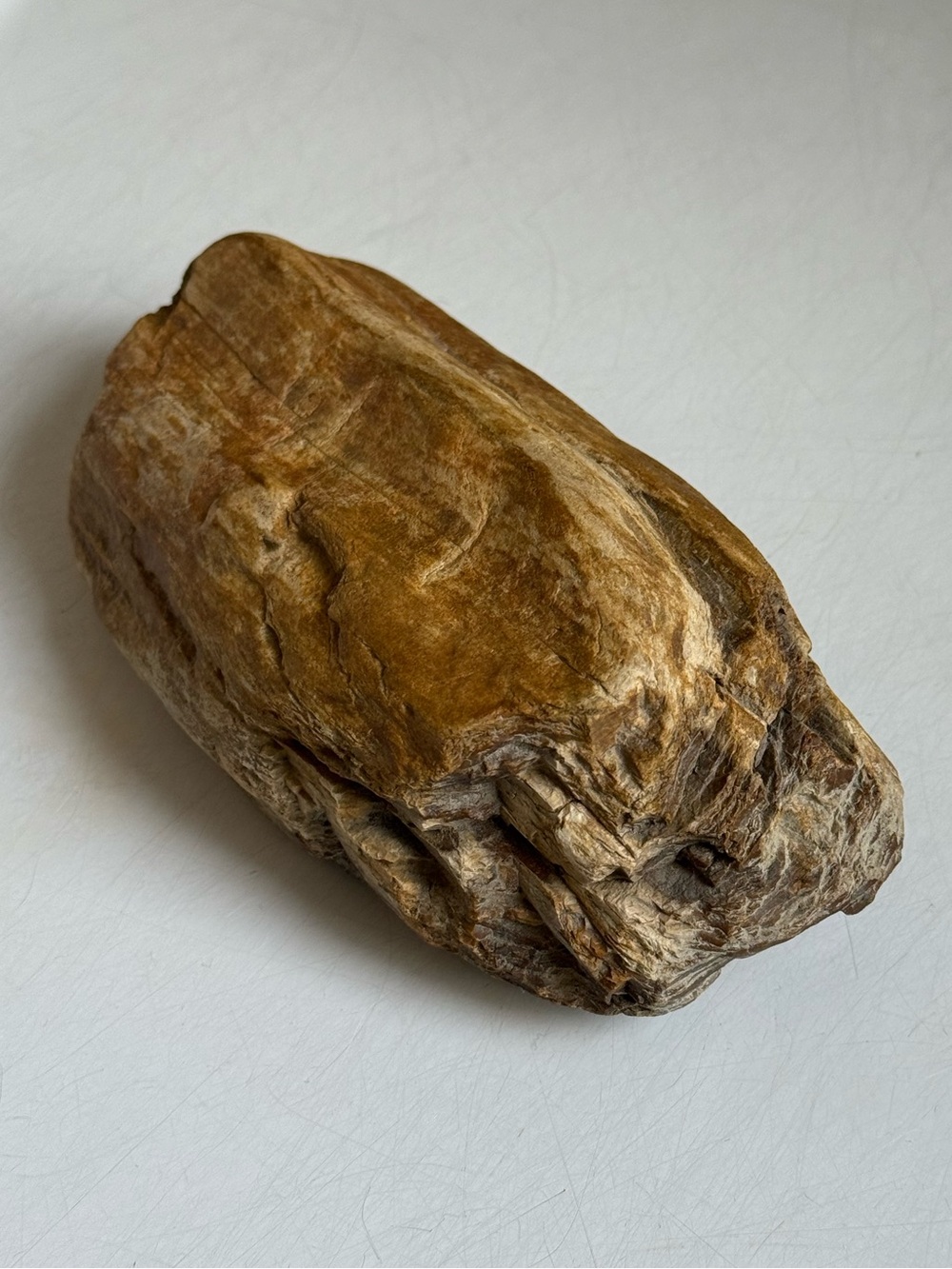 6.75" Petrified Fossilized Wood Log Natural Stone Paperweight Shelf Decor